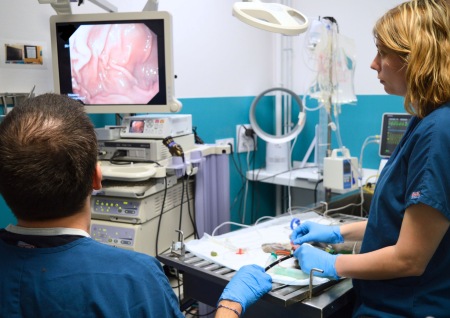 Endoscopie CHV Cordeliers
